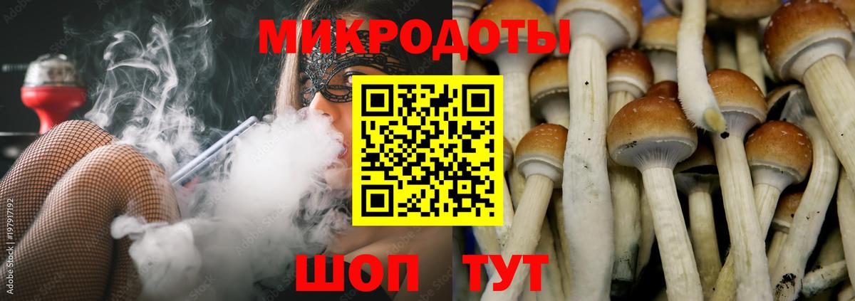 Псилоцибиновые грибы мицелий  Псилоцибиновые грибы GOLDEN TEACHER  Большой Камень  Вход с VPN 